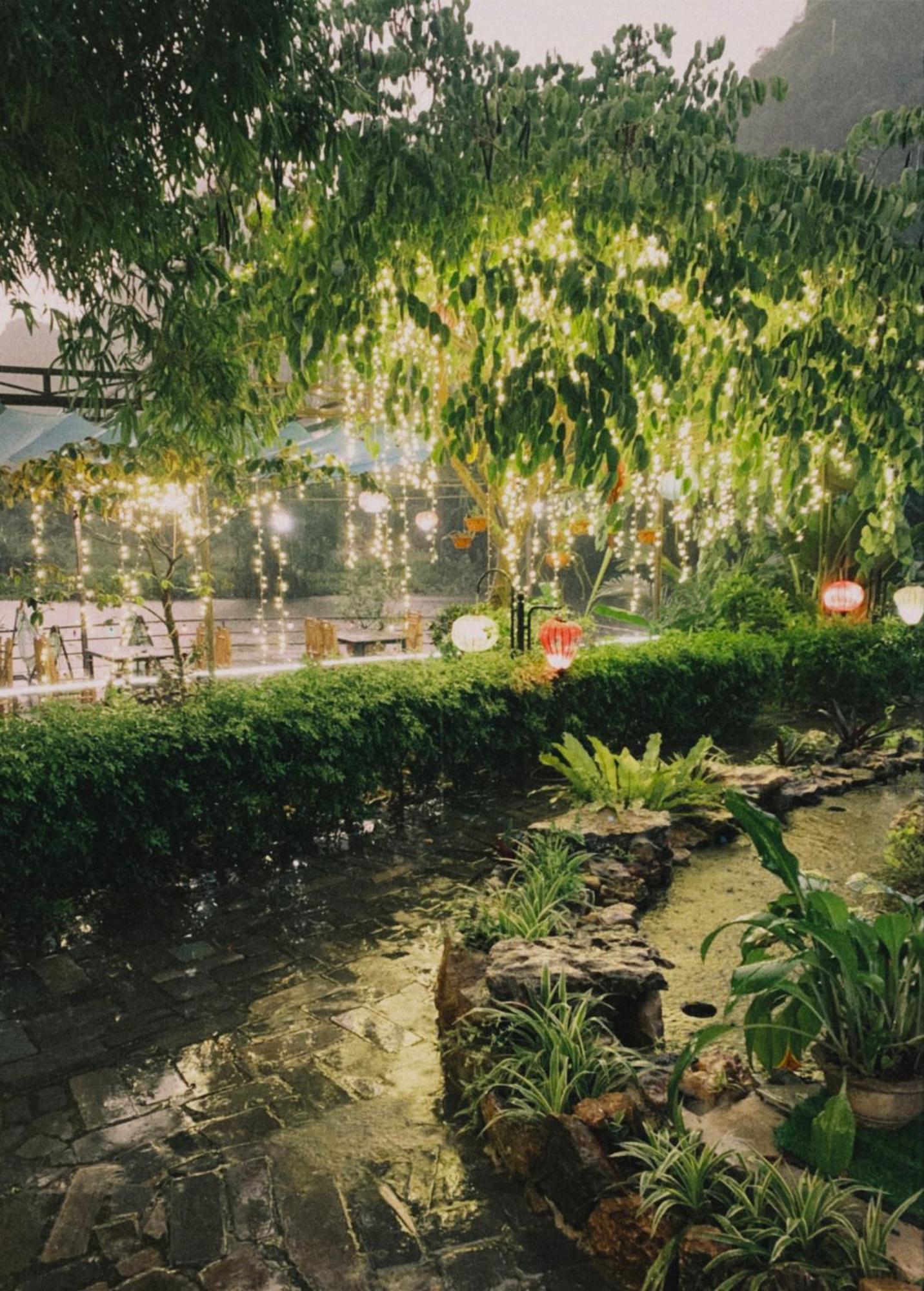 Hoanglong Riverside Homestay نينه بينه المظهر الخارجي الصورة
